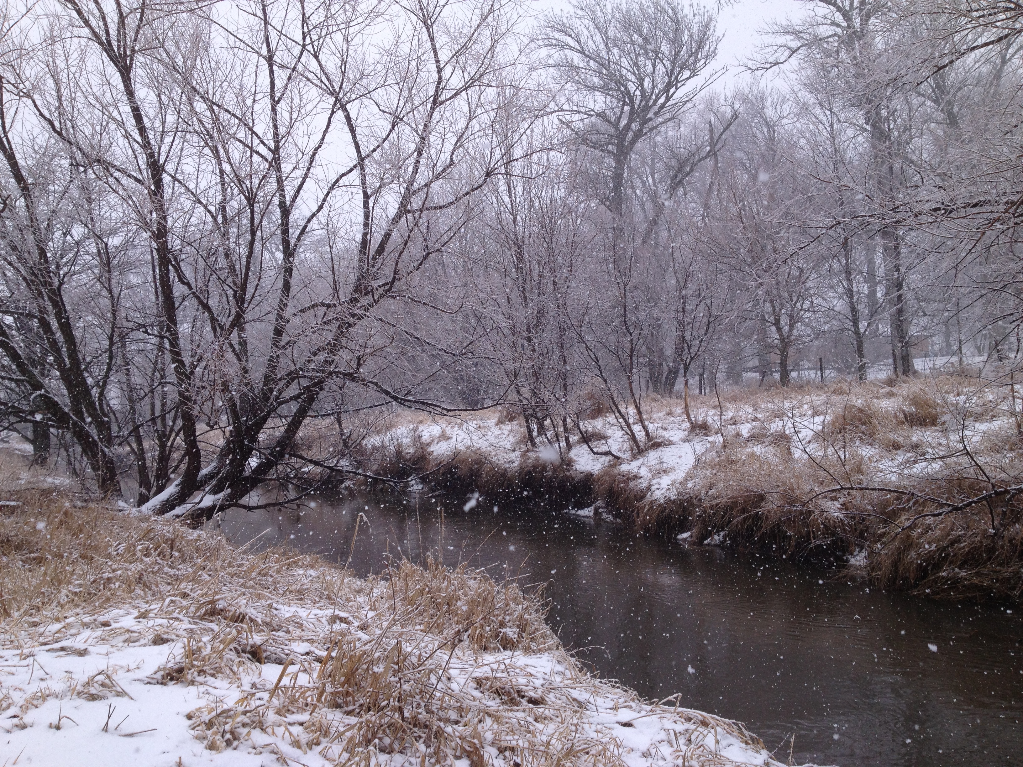 Six Mile Creek winter